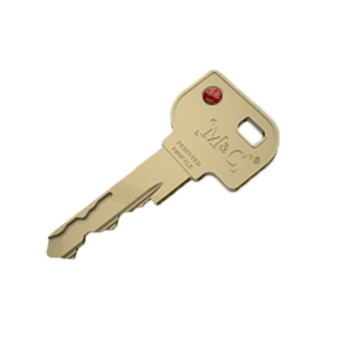 Matrix-metalen-sleutel.jpg Matrix-metalen-sleutel.jpg